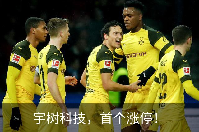 宇树科技，首个涨停！