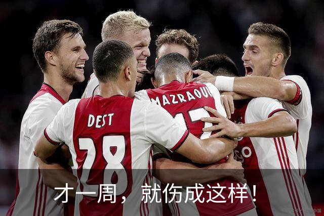 才一周，就伤成这样！