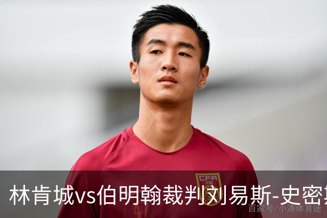 林肯城vs伯明翰裁判刘易斯-史密斯数据：近20场2红74黄6点
