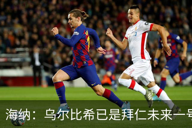 海纳：乌尔比希已是拜仁未来一号门将