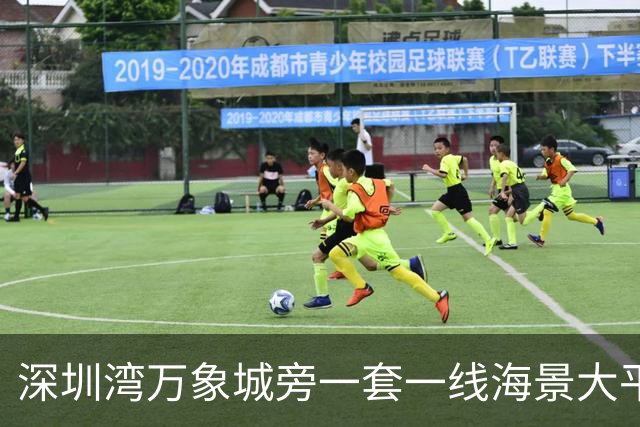 深圳湾万象城旁一套一线海景大平层拍卖，最终成交价拿到5827万