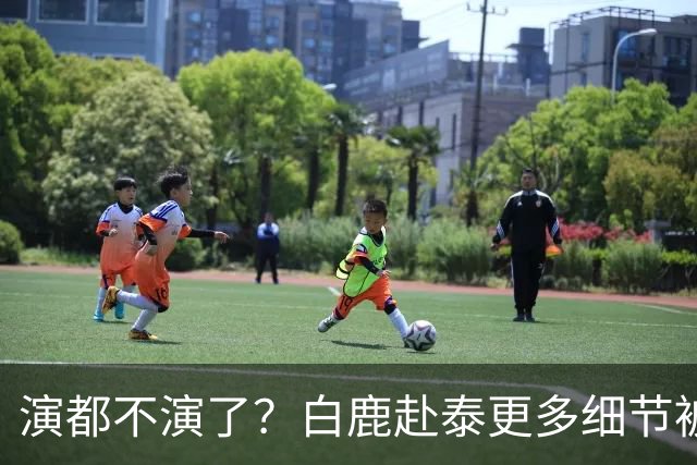 演都不演了？白鹿赴泰更多细节被曝，多人牵扯其中难怪不取消活动