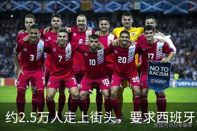 约2.5万人走上街头，要求西班牙政府保障国家养老金制度