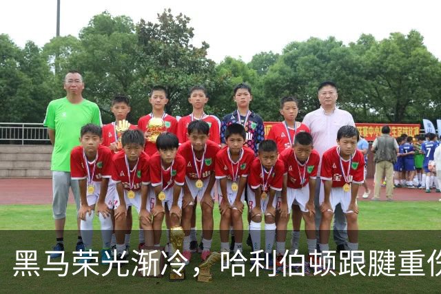 黑马荣光渐冷，哈利伯顿跟腱重伤归来重新出发